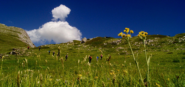 pozar-hike-featured-2